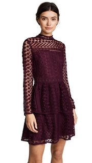 cupcakes and cashmere Symona Lace Dress