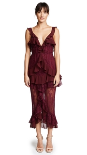 For Love &amp; Lemons Daphne Lace Dress