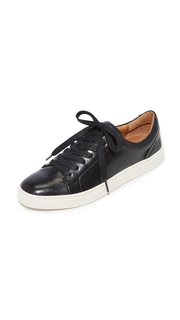 Frye Ivy Low Lace Sneakers