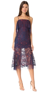 Jonathan Simkhai Two Tone Lace Bandeau Dress
