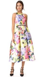 Monique Lhuillier Sleeveless Structured Dress
