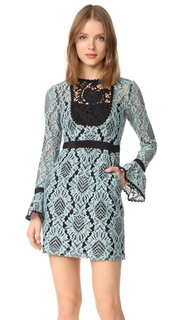 Nanette Lepore Soho Shift Dress