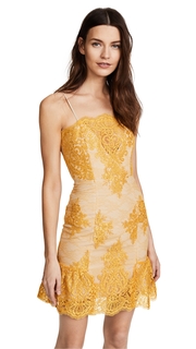 Nicholas Octavia Lace Scallop Mini Dress