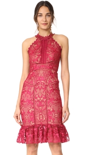 Marchesa Notte Guipure Sleeveless Cocktail with Ruffle Hem