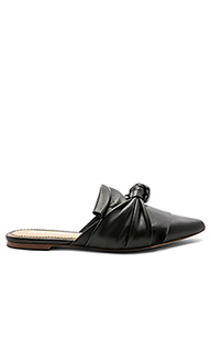 Bassett mule - Splendid