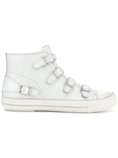 хайтопы Venus Ash