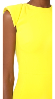 Antonio Berardi Sleeveless Dress