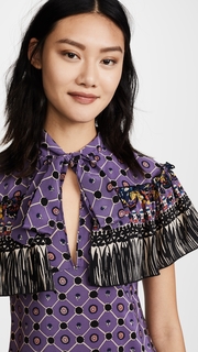 Anna Sui Paisley Fringe Maxi Dress