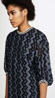 Anna Sui Zigzag Leaf Lace Dress