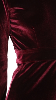 CLAYTON Velour Rowan Dress