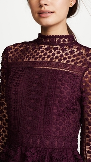 cupcakes and cashmere Symona Lace Dress