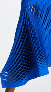 Dion Lee Bias Perf Dress