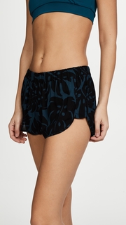 MIKOH Saint Pierre Shorts