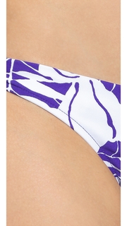 Milly Zebra St. Lucia Bikini Bottoms