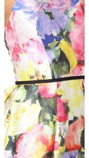 Monique Lhuillier Sleeveless Structured Dress