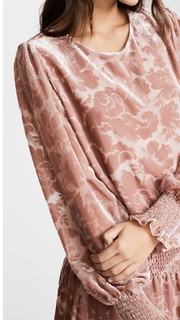 Parker Carmindy Velvet Dress