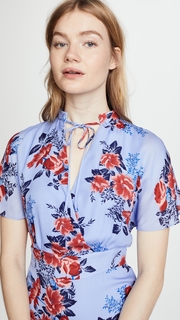 Parker Natalie Mini Dress