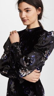 Rebecca Taylor Violet Velvet Dress