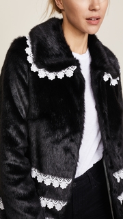 Shrimps Sol Coat