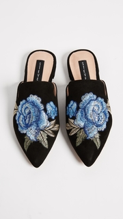 Steven Valent Mules