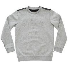 Свитшот детский Quiksilver Dubellcrewyth Light Grey Heather