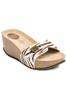 clogs UMA