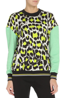 Толстовка Just Cavalli
