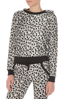 Толстовка Just Cavalli