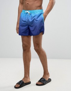 Шорты для плавания с эффектом деграде Wetts - Синий