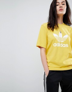 Желтая oversize-футболка с логотипом adidas Originals adicolor - Желтый
