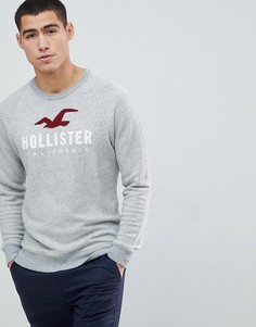 Серый меланжевый свитшот с круглым вырезом и логотипом Hollister - Серый