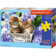 Пазл Castorland "Милые котята" 60 деталей MIDI