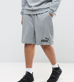 Серые трикотажные шорты Puma PLUS ESS No.1 83826103 - Серый
