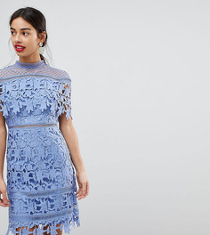 Кружевное платье-футляр миди с высоким воротником Chi Chi London Petite - Синий