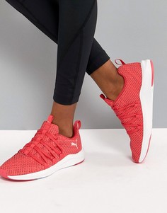 Розовые кроссовки Puma Prowl Alt Training - Розовый