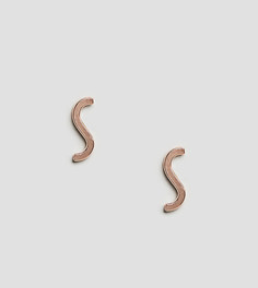 Серьги-гвоздики из позолоченного серебра ASOS - Медный