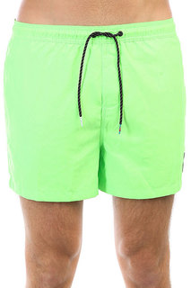 Шорты пляжные Quiksilver Everydvl15 Green Gecko