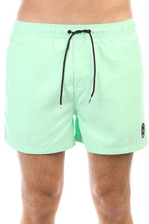 Шорты пляжные Quiksilver Everydvl15 Green Ash