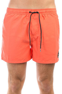 Шорты пляжные Quiksilver Everydvl15 Nasturtium