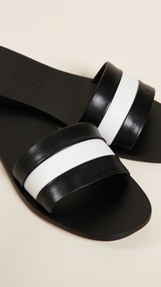 SENSO Bec Slides