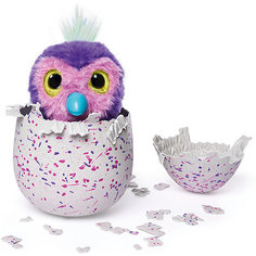 Интерактивная игрушка Spin Master "Hatchimals" Пингвинчик (розовый/фиолетовый)