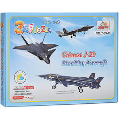 3D пазлы Zilipoo "Самолет J-20 Стелс", 41 деталь
