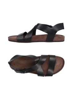 Сандалии Taddeucci