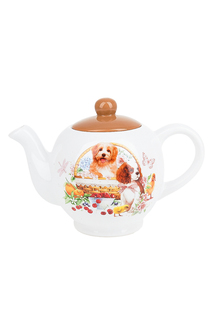 Чайник заварочный Polystar Collection