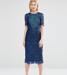 Двухслойное кружевное строгое платье с покрытием ASOS PETITE - Темно-синий