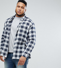 Рубашка в клетку Jacamo PLUS - Синий