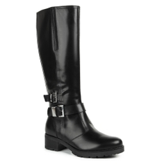 Сапоги NERO GIARDINI A411852D черный