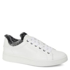 Кеды CALVIN KLEIN SOLEIL FW17 белый
