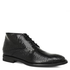 Ботинки DINO BIGIONI DB15400 черный