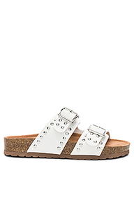 Шлепанцы bond - Steve Madden